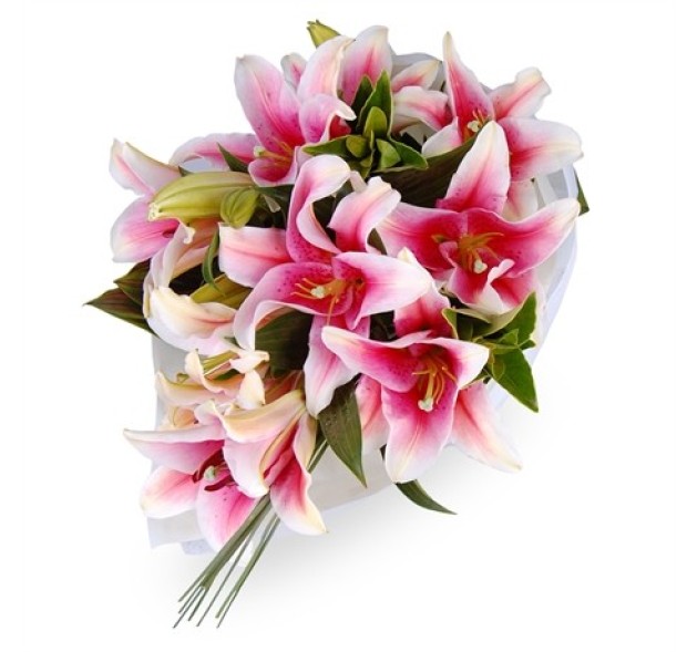 Ανθοδέσμη με σταργκάιζερ