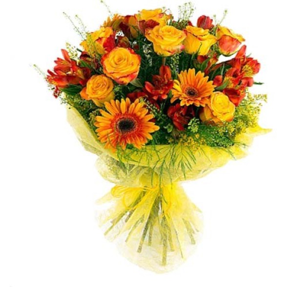 Γεμάτο Αναμνήσεις 