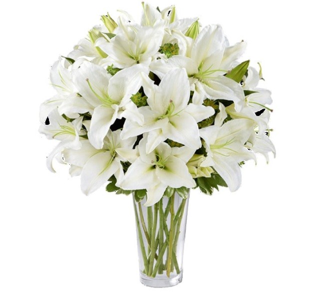 Λευκά Οριεντάλ 