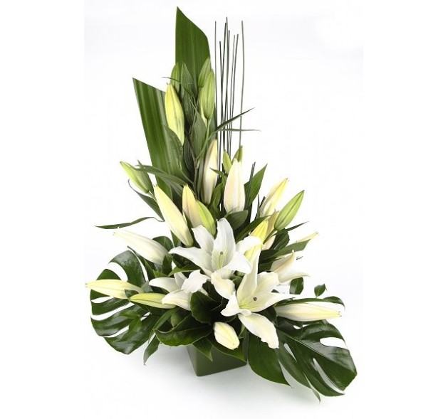 Σύνθεση με λίλιουμ 