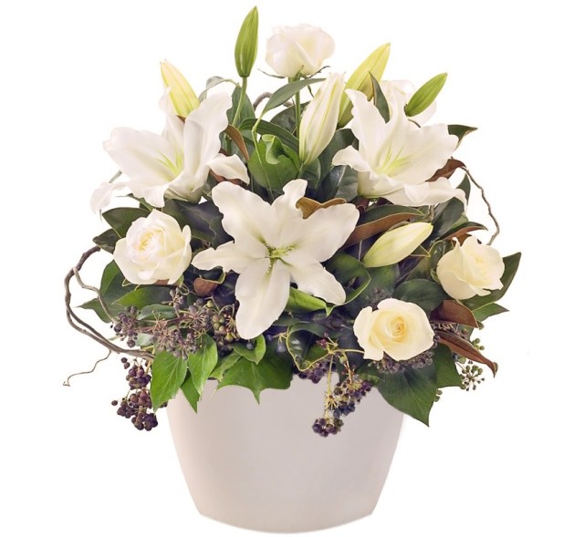 Κασπώ γεμάτο αισθήματα 