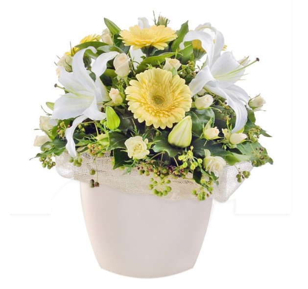 Σύνθεση με Οριεντάλ σε Κασπώ 