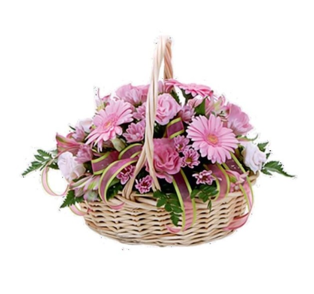 Ρόζ πανδαισία 