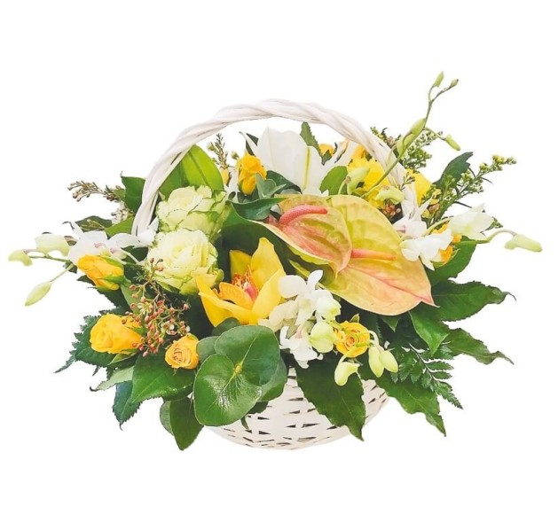 Γεμάτο από ευχές 