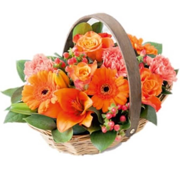 Γλυκειές σκέψεις 