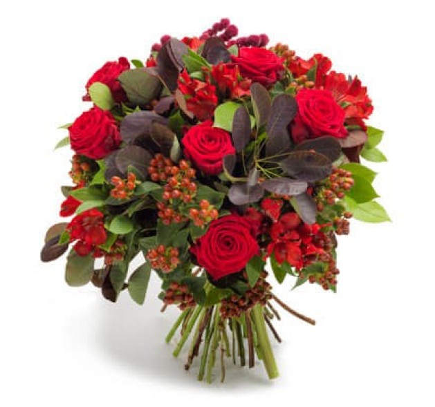 Κόκκινη κομψότητα