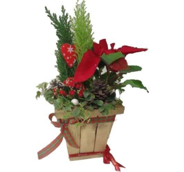 Χριστουγεννάτικο κασπώ με φυτά