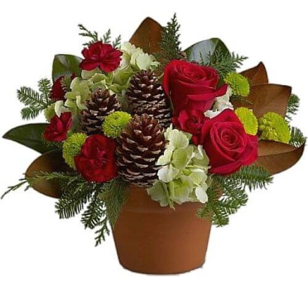 Κασπώ Χριστουγέννων