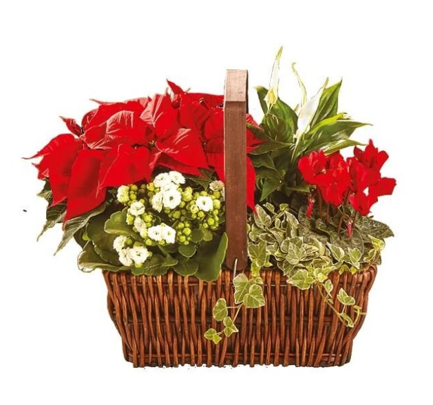 Χριστουγεννιάτικο Καλάθι