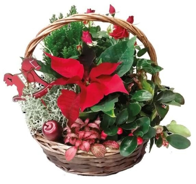 Το καλάθι των Ημερών