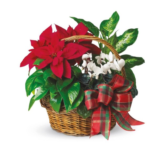 Καλάθι εορτών