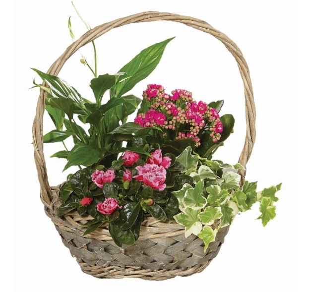 Καλάθι λουλουδάτο