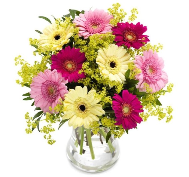 Μπουκέτο Πολύχρωμη Άνοιξη με Ζερμπέρες 