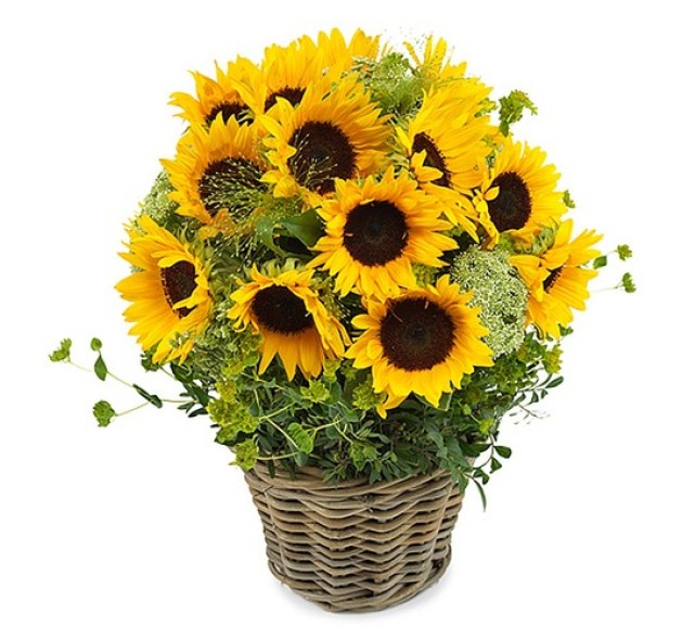 Ηλίανθοι σε ψηλό καλάθι 