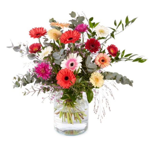 Φωτεινές Ζέρμπερες 