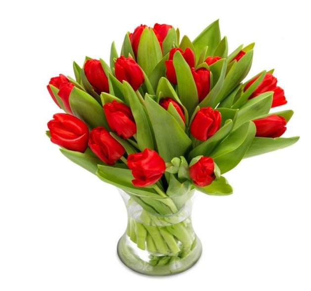 Γοητευτικές κόκκινες τουλίπες 